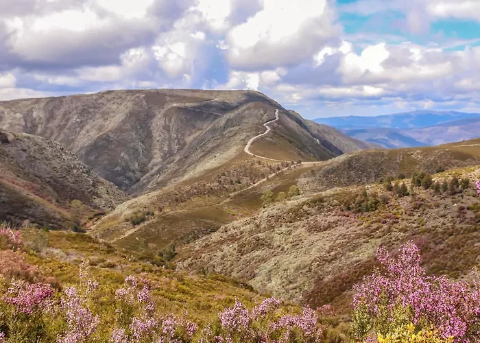 Cantinho Do Ribeiro Lourosa da Trapa