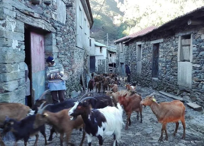 Bed & Breakfast Cantinho Do Ribeiro *