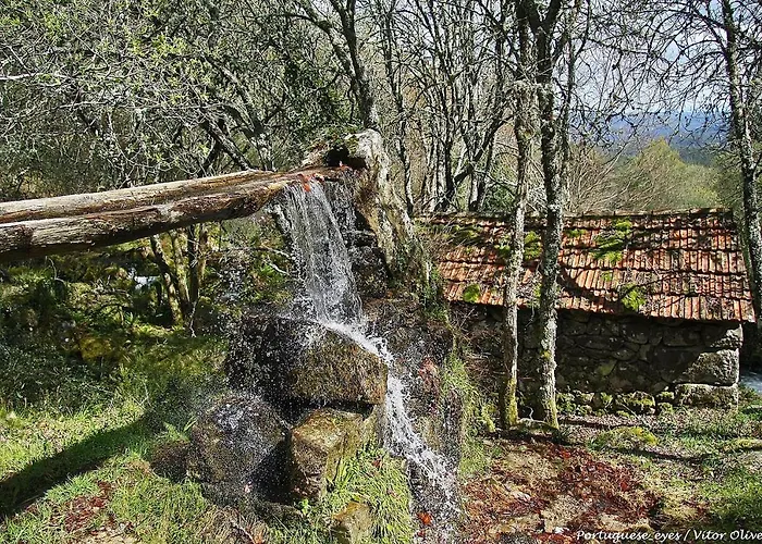 Cantinho Do Ribeiro * Lourosa da Trapa
